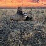 Steens Mountains Mule Deer