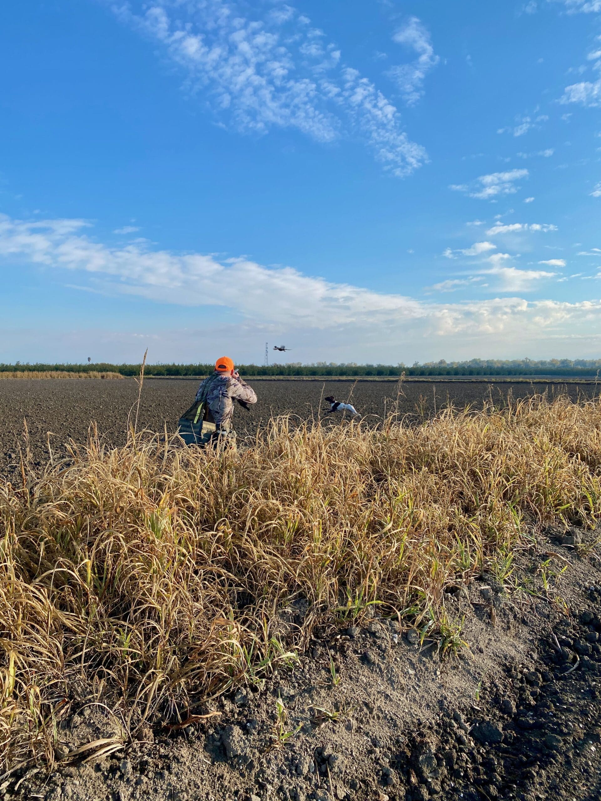 Jordan Anderson @utahpointers and his two German Shorthaired Pointers