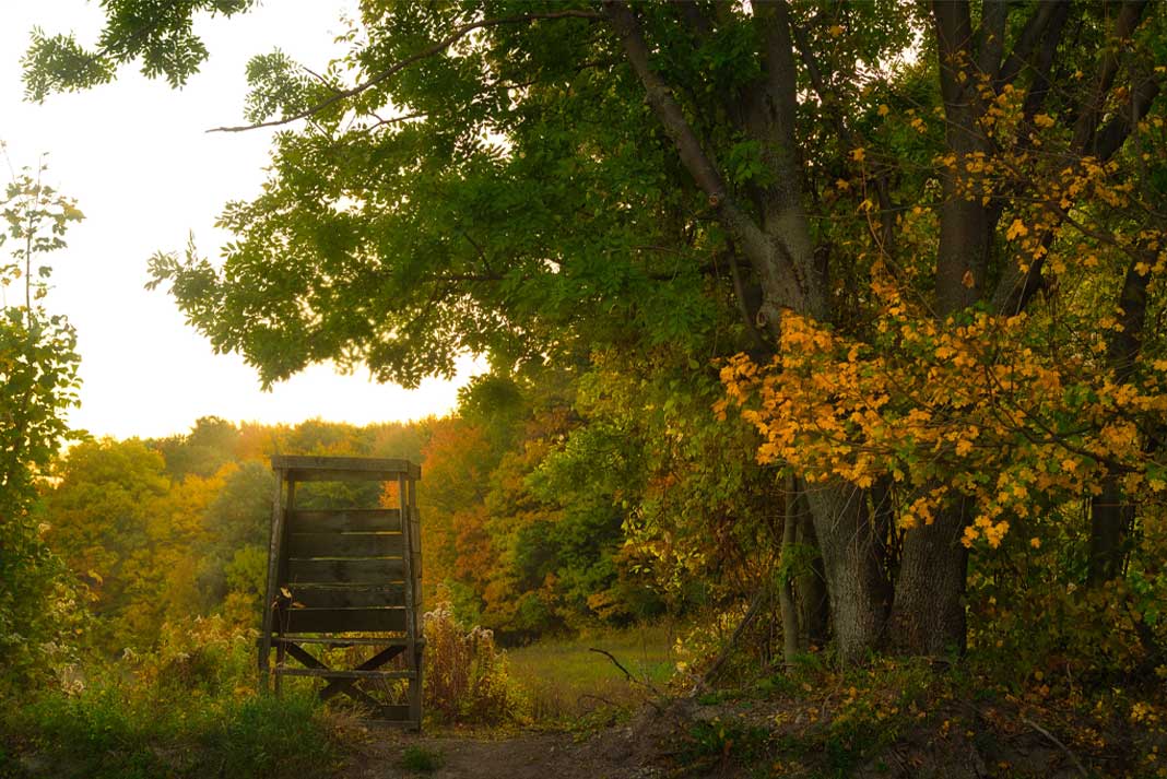 Outsmarting Their Senses Can Deer Smell Hunting Blinds? Hunting Magazine