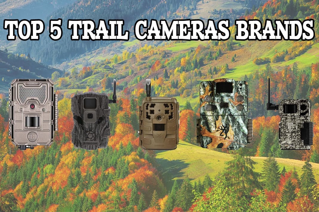 The Top 5 Trail Camera Brands for Hunting - Hunting Magazine