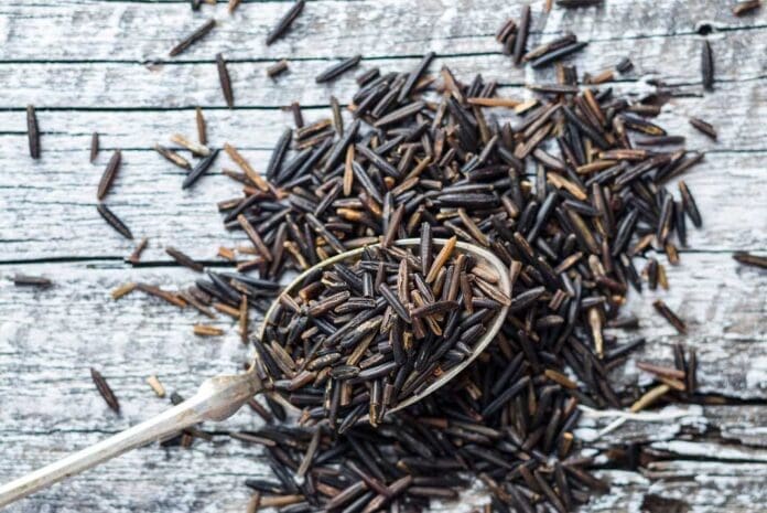 pheasant-wild-rice-casserole-recipe--hunting-magazine pheasant wild rice casserole recipe- hunting magazine