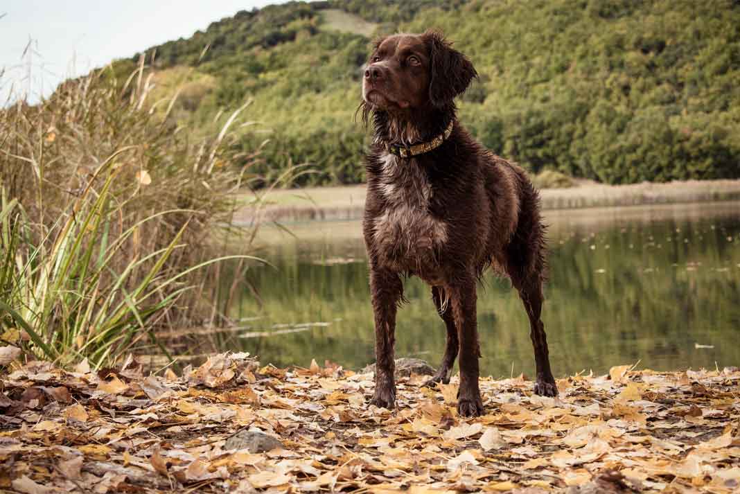 Consider the Terrain You'll Be Hunting In - Hunting Magazine