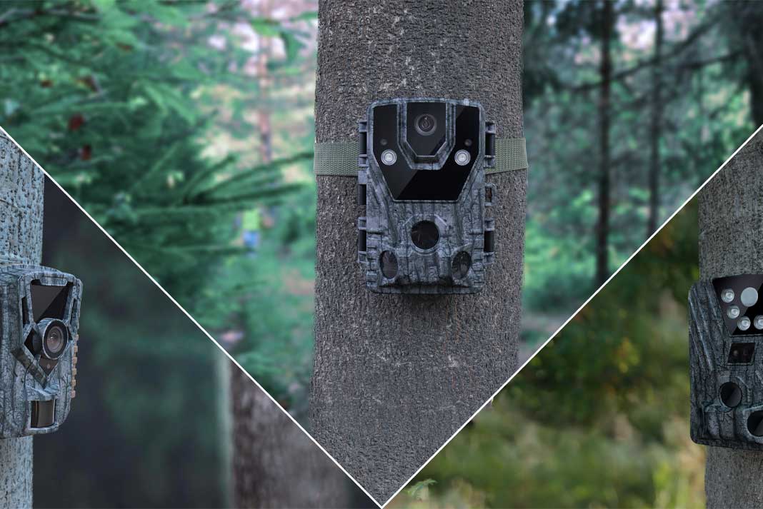 The Ultimate Guide to Using Hunting Trail Cameras - Hunting Magazine