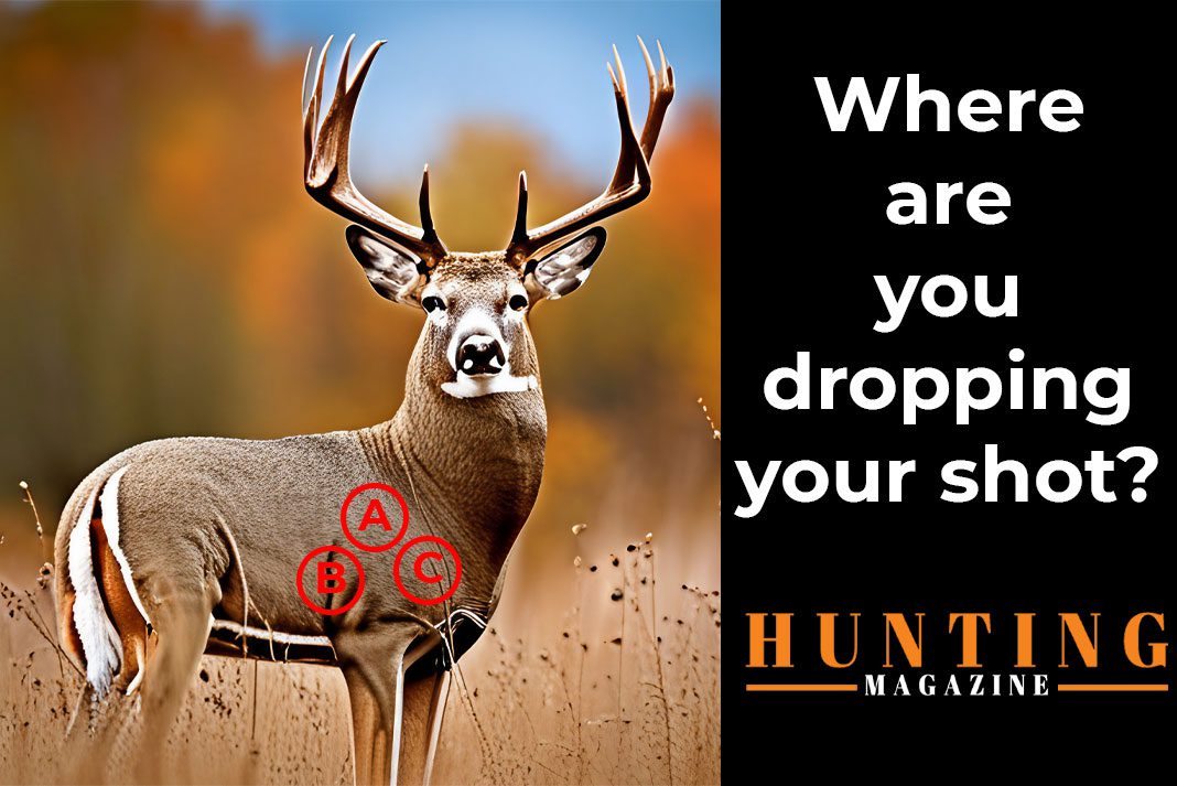 Deer Shot Placement - Hunting Magazine