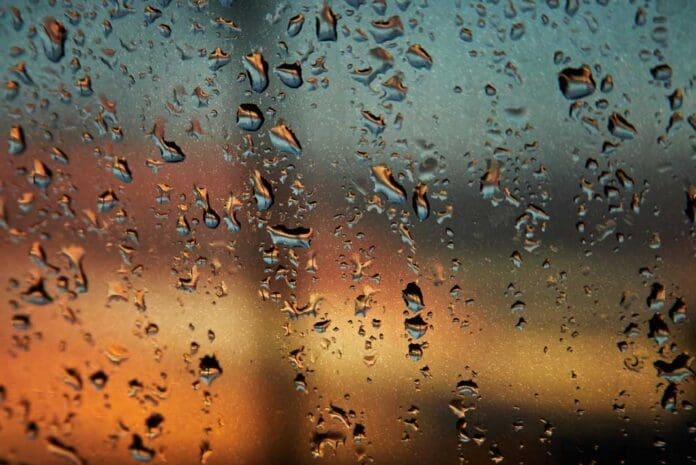 Is-it-Good-to-Hunt-Deer-in-the-Rain---Hunting-Magazine Is it Good to Hunt Deer in the Rain - Hunting Magazine