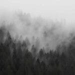 Hunting-Weather