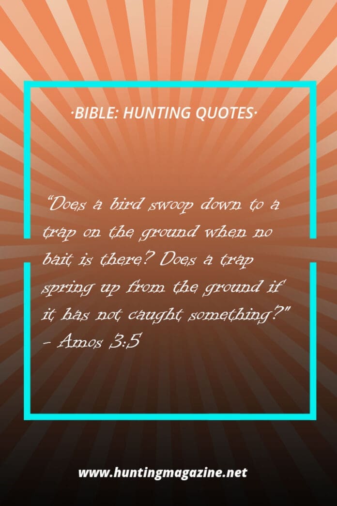 Hunting Quotes from the Bible - Amos 3:5 - Hunting Magazine