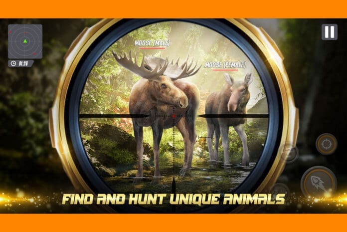 The Hunter Deer hunting game