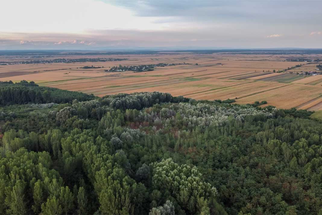 Finding and Securing a Hunting Lease Finding and Securing a Hunting Lease