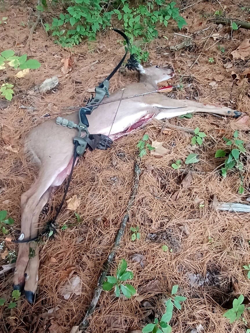 No deer were taken by team members today however Brawner, No deer were taken by team members today however Brawner, a friend of the brand,...
