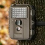 barska trail camera