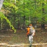 Hunting Tips for Novice Hunters