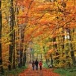 gI_118939_bigstock_Family_walking_through_autumn__5847453