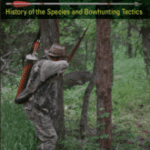 Feral Hog Hunting