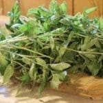 basil_harvest-300×1991.jpg