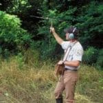 Biologist Tracking Black Bear