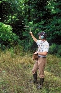 Biologist Tracking Black Bear