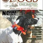 Big Book Sporting Dog Catalogver 2013training catalog