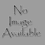 No Image – HuntingMagazine.net