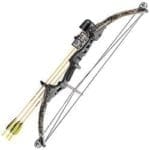 Compound Bow