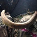 Killing Time waiting on whitetail deer