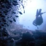 spearfishing-scuba-diver-260×2601.jpg