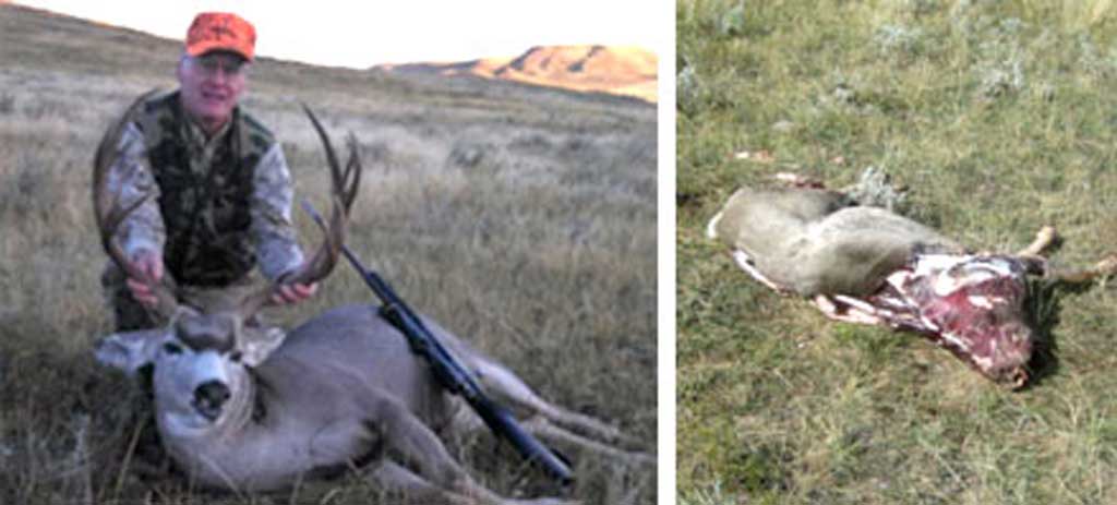 Steven M. Haberland Abandoned a 6-by-5 mule deer.