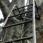 TreeLadder-W-260×2601.jpg
