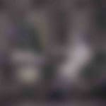 cat_x07_02