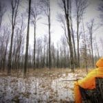 Deer Hunting Woods