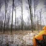 Deer Hunting Woods