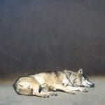 Sleeping Wolf by Marzio Tamer: An Italian Artist