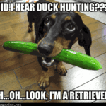 14166751147501.png