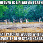 14174650350011.png