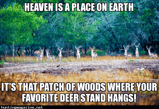 Heaven on Earth