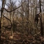 bowhunter-ladderstand-stltoday-300×2001.jpg