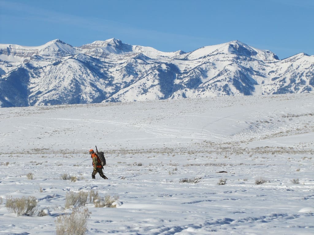 Winter Hunting - Coming in from the Cold Winter Hunting - Coming in from the Cold