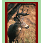 happy-holidays-hunting-magazine-card