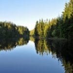 rice_lake-260×2602.jpg