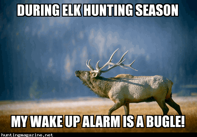 My Elk Hunting Season Alarm Clock