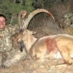 ibex-pic-1-1.jpg