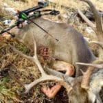 shot-place-on-buck-web-300×2251.jpg