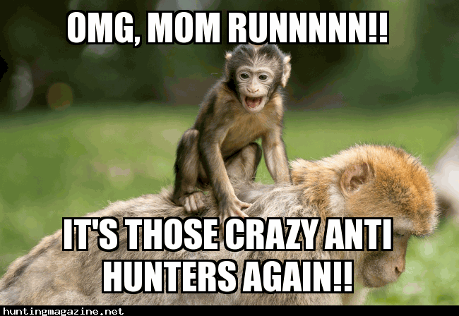 Mom! Run Anti Hunters