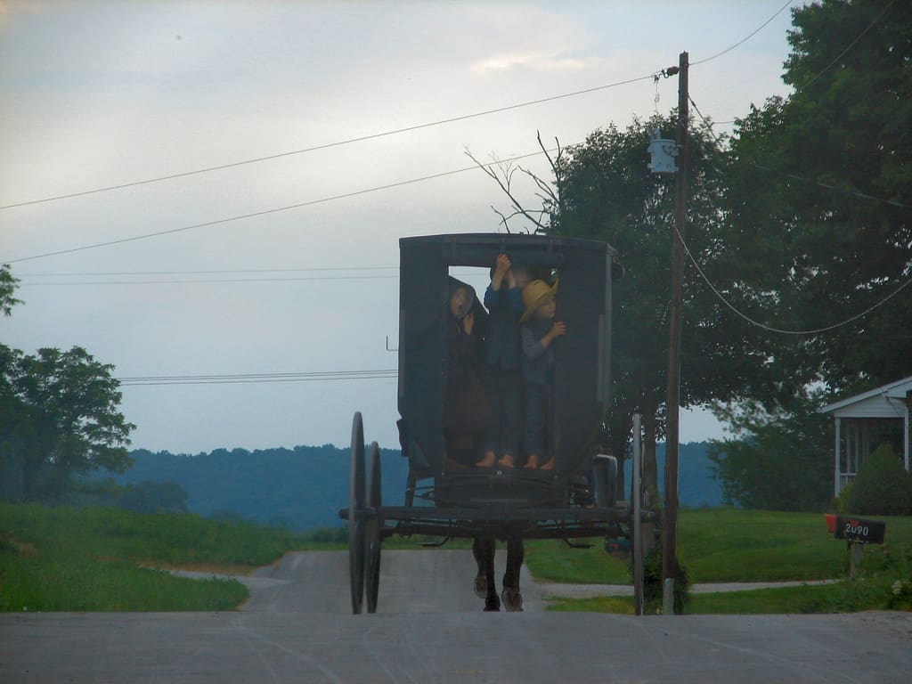 Amish with Buggy photo by Cindy Cornett Seigle