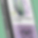 phone_v01