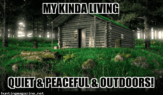 My Kinda Live - Cabin Life