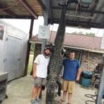 Brad & Hunter with their Massive 603lbs South Carolina Gator