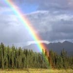 Wilderness Rainbow – HuntingMagazine.net