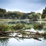 River – Fishing – Stream Fishing