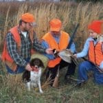 Hunting Pheasant – Hunting Magazine